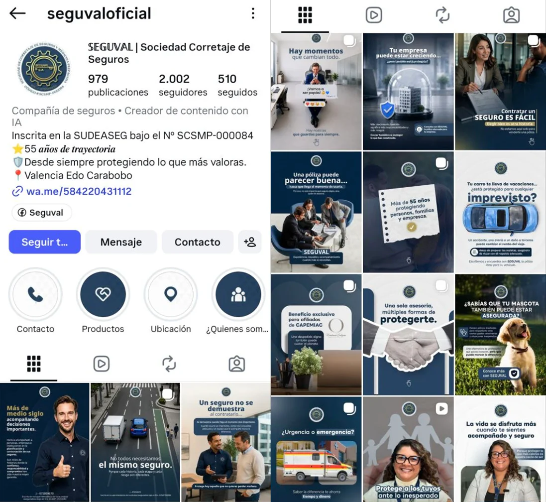 Proyecto Seguval